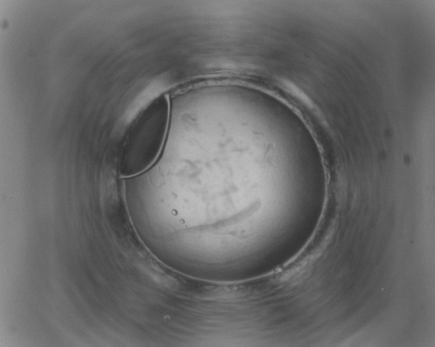 X0000062891259200601201837