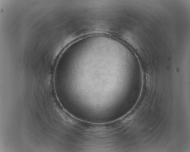 X0000062891260200601201837