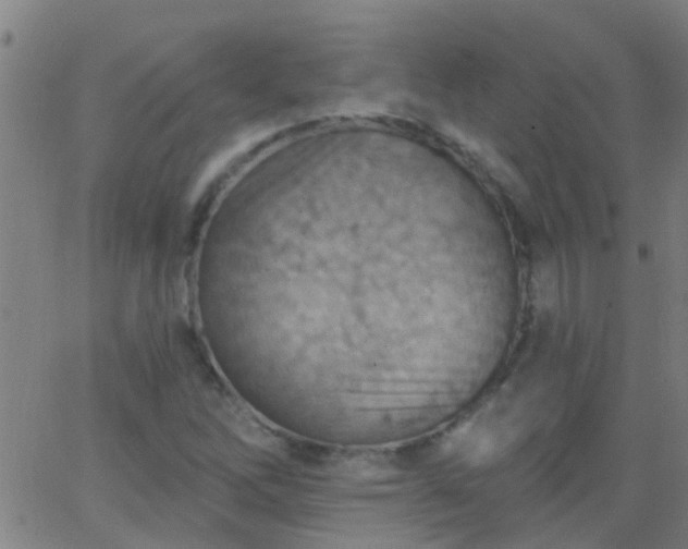 X0000062891262200601201837