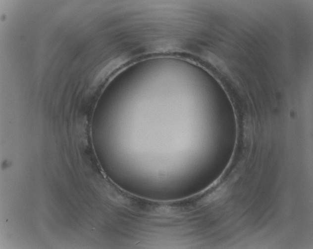 X0000062891265200601201837