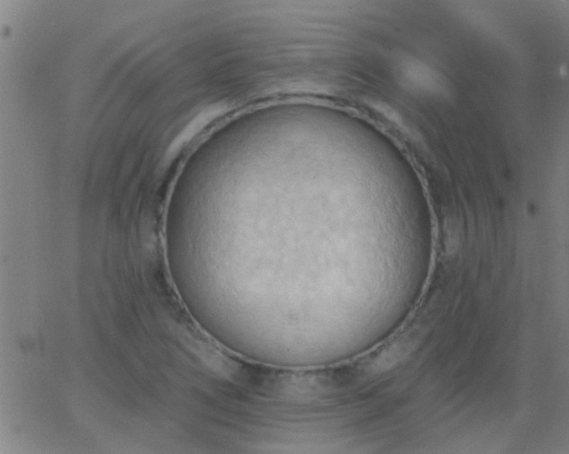 X0000062891266200601201837