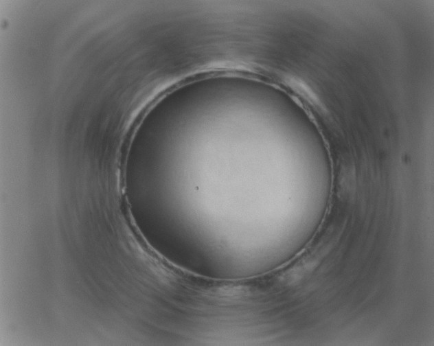 X0000062891268200601201837