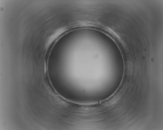 X0000062891269200601201836