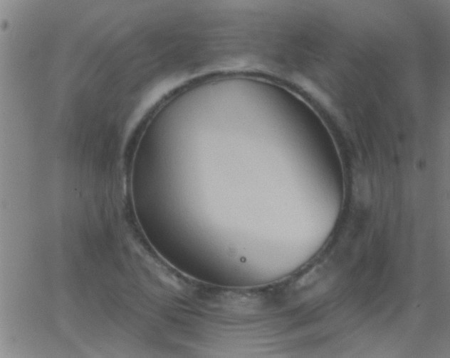 X0000062891270200601201836