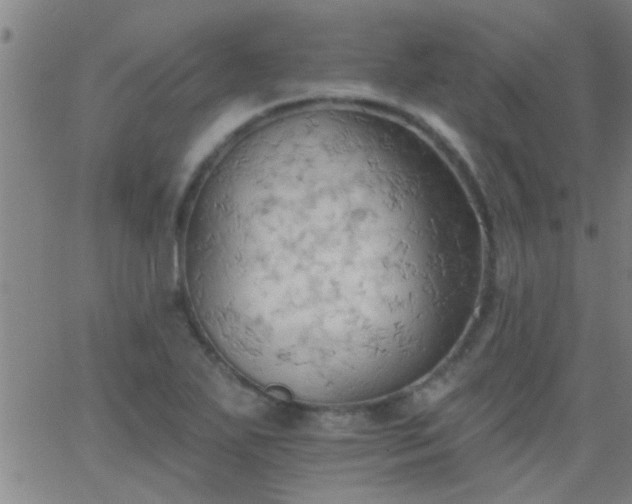 X0000062891271200601201836