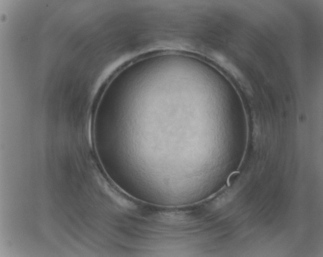 X0000062891272200601201836