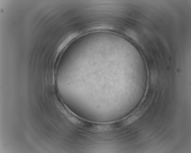 X0000062891274200601201836