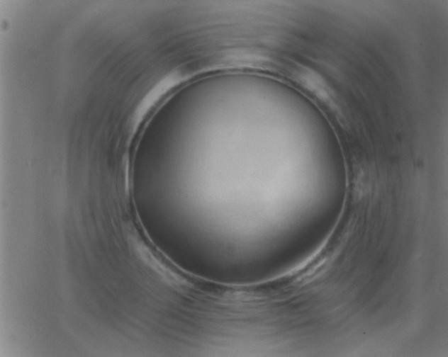 X0000062891275200601201836