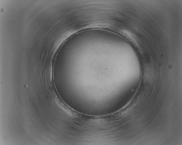 X0000062891276200601201836