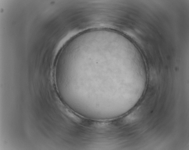 X0000062891278200601201836