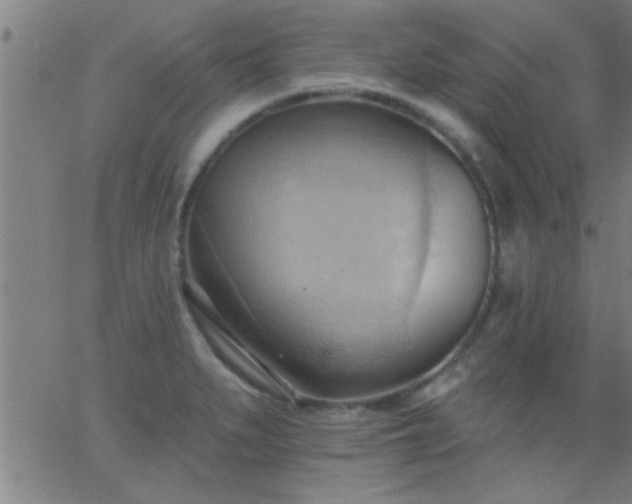 X0000062891279200601201836