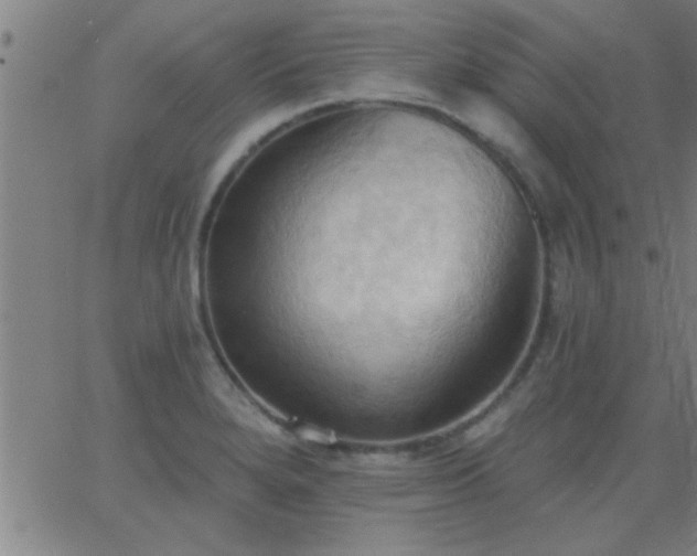 X0000062891280200601201836