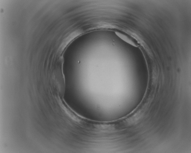 X0000062891281200601201836