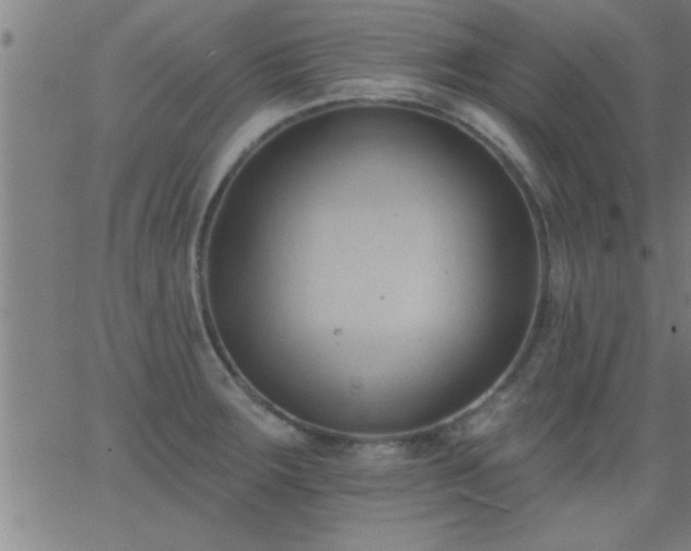 X0000062891283200601201836