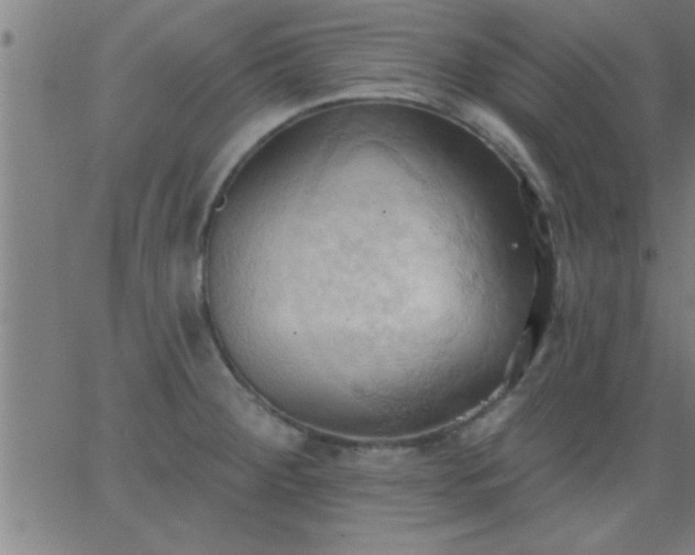 X0000062891284200601201836