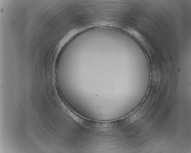 X0000062891286200601201836