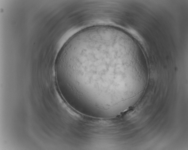 X0000062891287200601201836