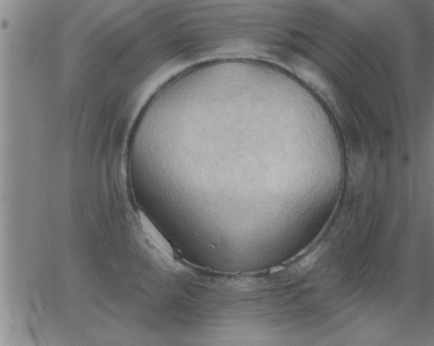 X0000062891288200601201836