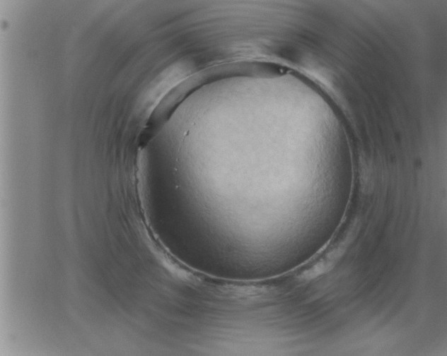 X0000062891289200601201836