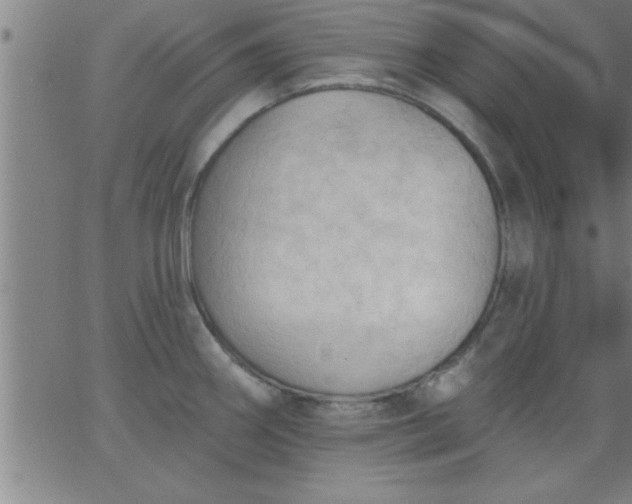 X0000062891290200601201836