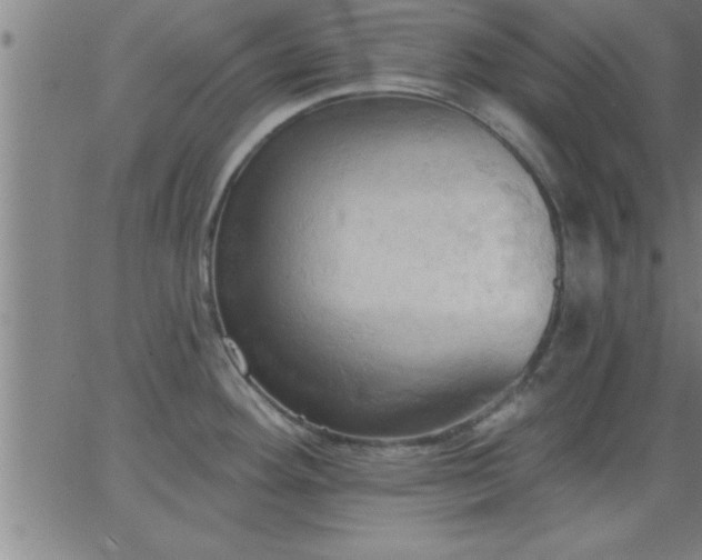 X0000062891292200601201836