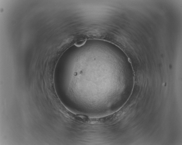 X0000062891297200601201835