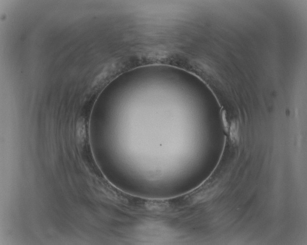 X0000062891299200601201835