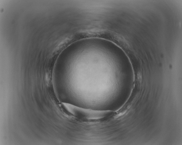 X0000062891300200601201835