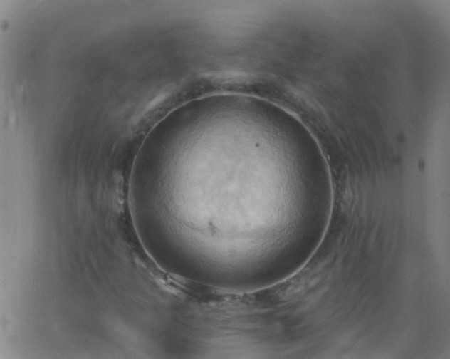 X0000062891301200601201835