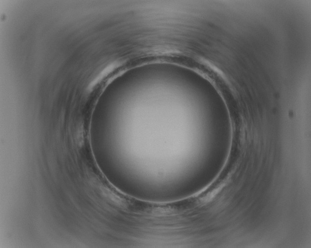 X0000062891306200601201835