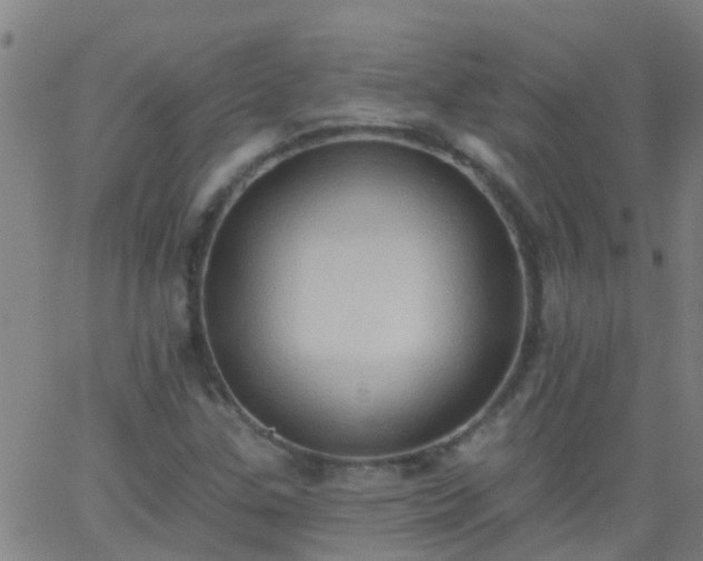 X0000062891307200601201835