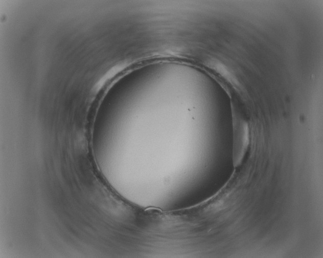 X0000062891308200601201835