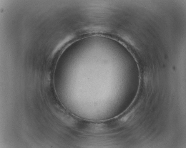 X0000062891309200601201835