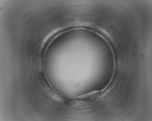 X0000062891310200601201835