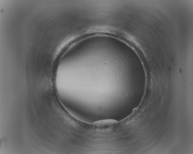 X0000062891312200601201836