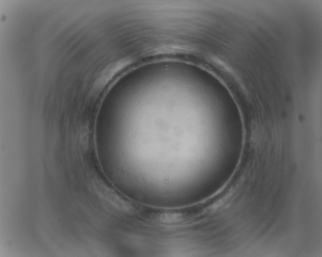 X0000062891313200601201836