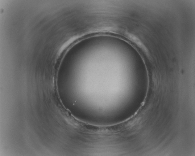 X0000062891316200601201836