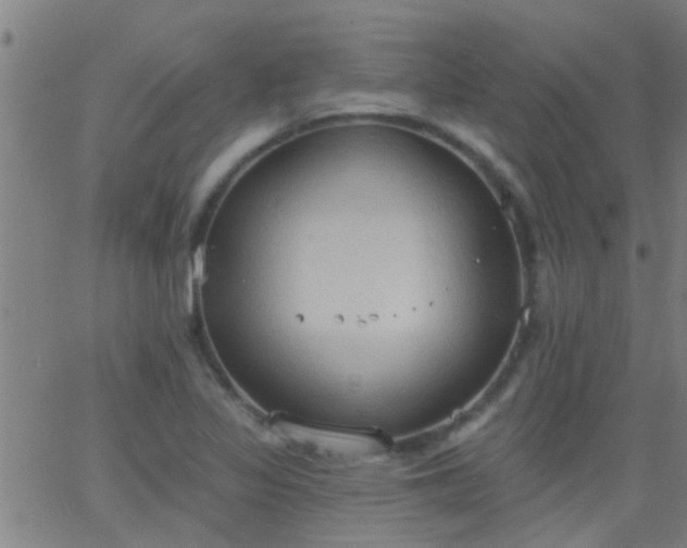 X0000062891317200601201836