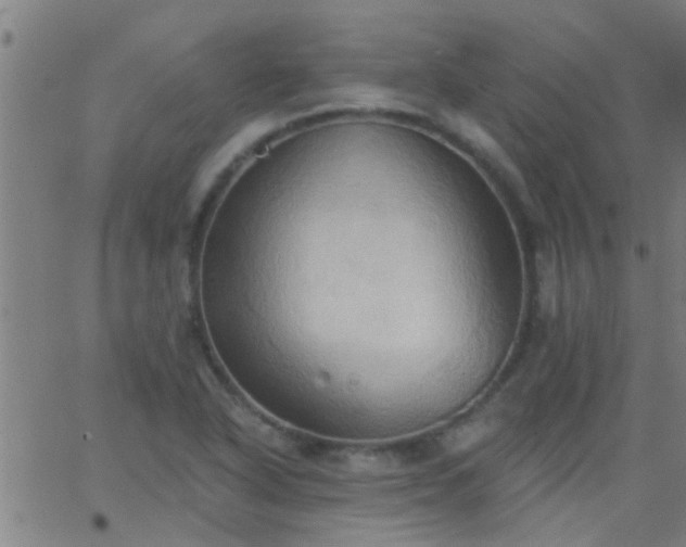 X0000062891318200601201836