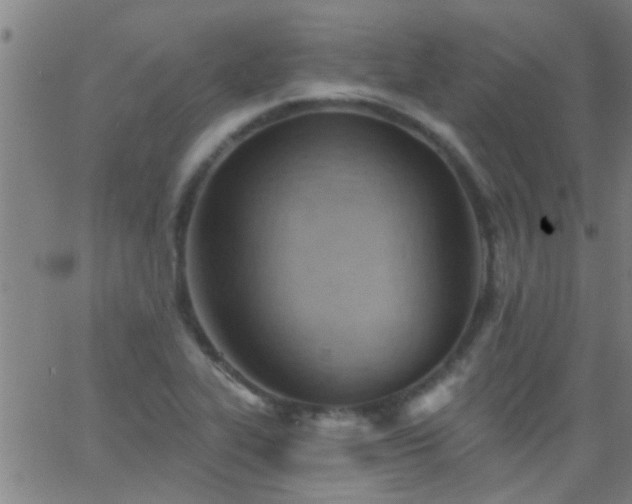 X0000062891319200601201836