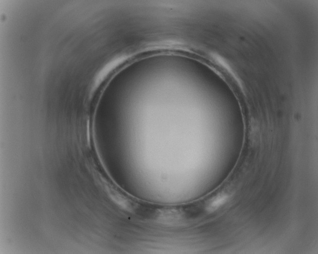 X0000062891320200601201836