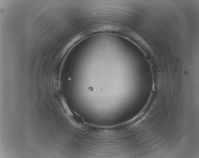 X0000062891321200601201836