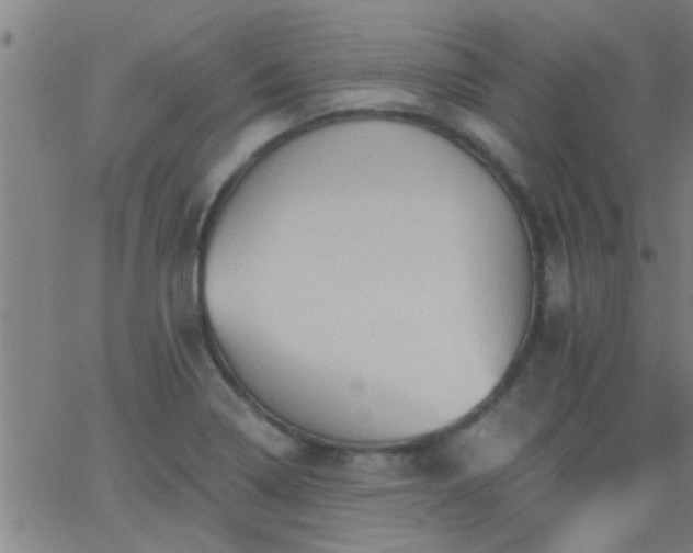 X0000062891322200601201836