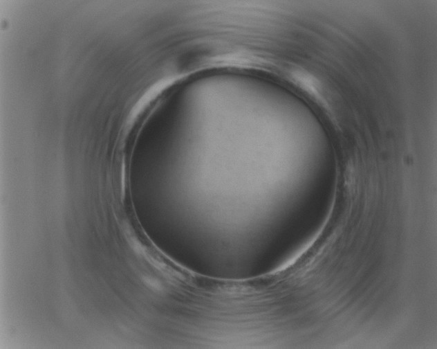 X0000062891323200601201836