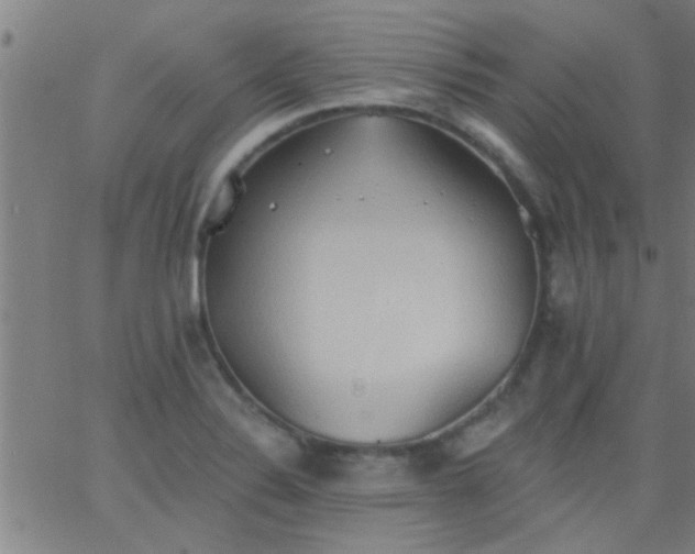 X0000062891324200601201836