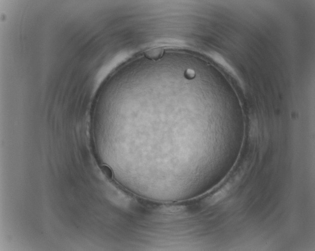 X0000062891325200601201836