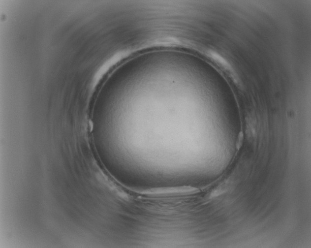 X0000062891326200601201836