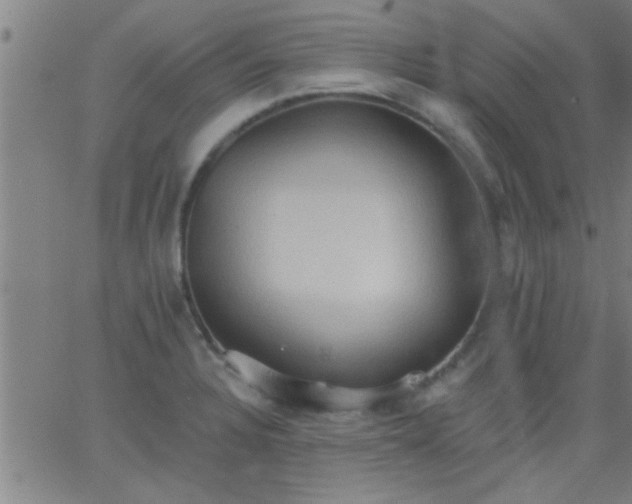 X0000062891328200601201836