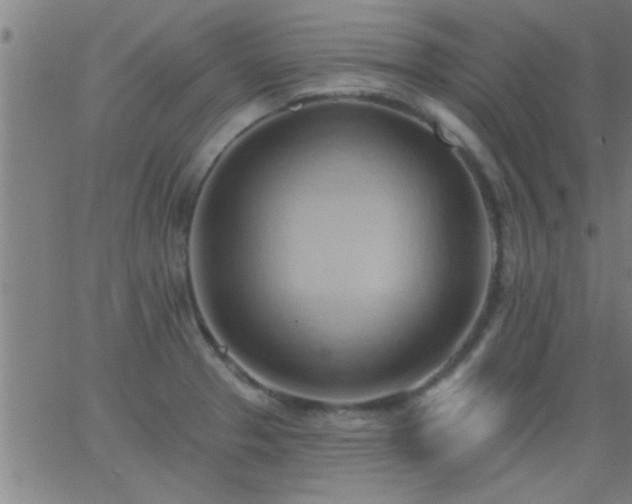 X0000062891329200601201836