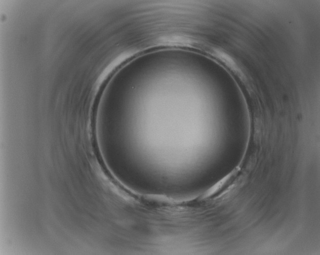 X0000062891331200601201836